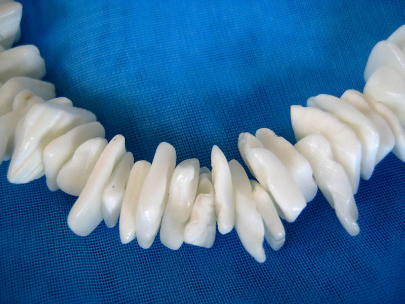 Wholesale Lot Hawaiian Jewelry White Puka Shell Necklace 16″ 18″ 20″ 22″ 24″