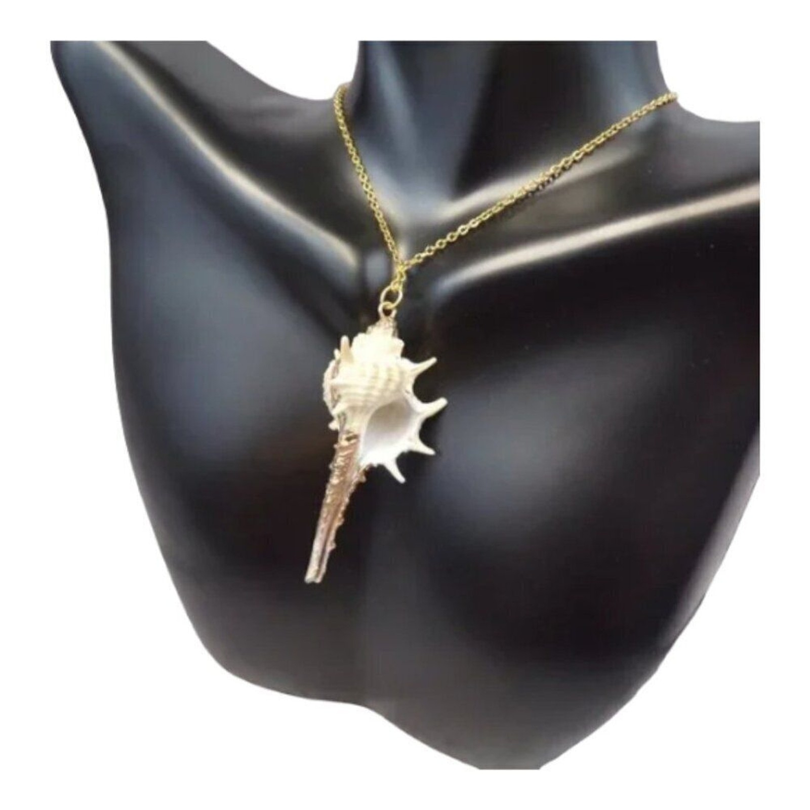Gold-Dipped Spiked Conch Shell Pendant Necklace – Cream/Gold – New