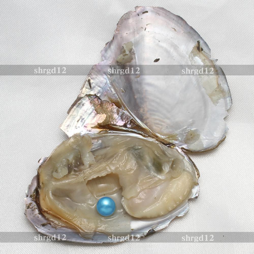 10pcs 7-8mm Natural Akoya Pearl Oysters Real Pearl Bulk Freshwater Pearl Gift US