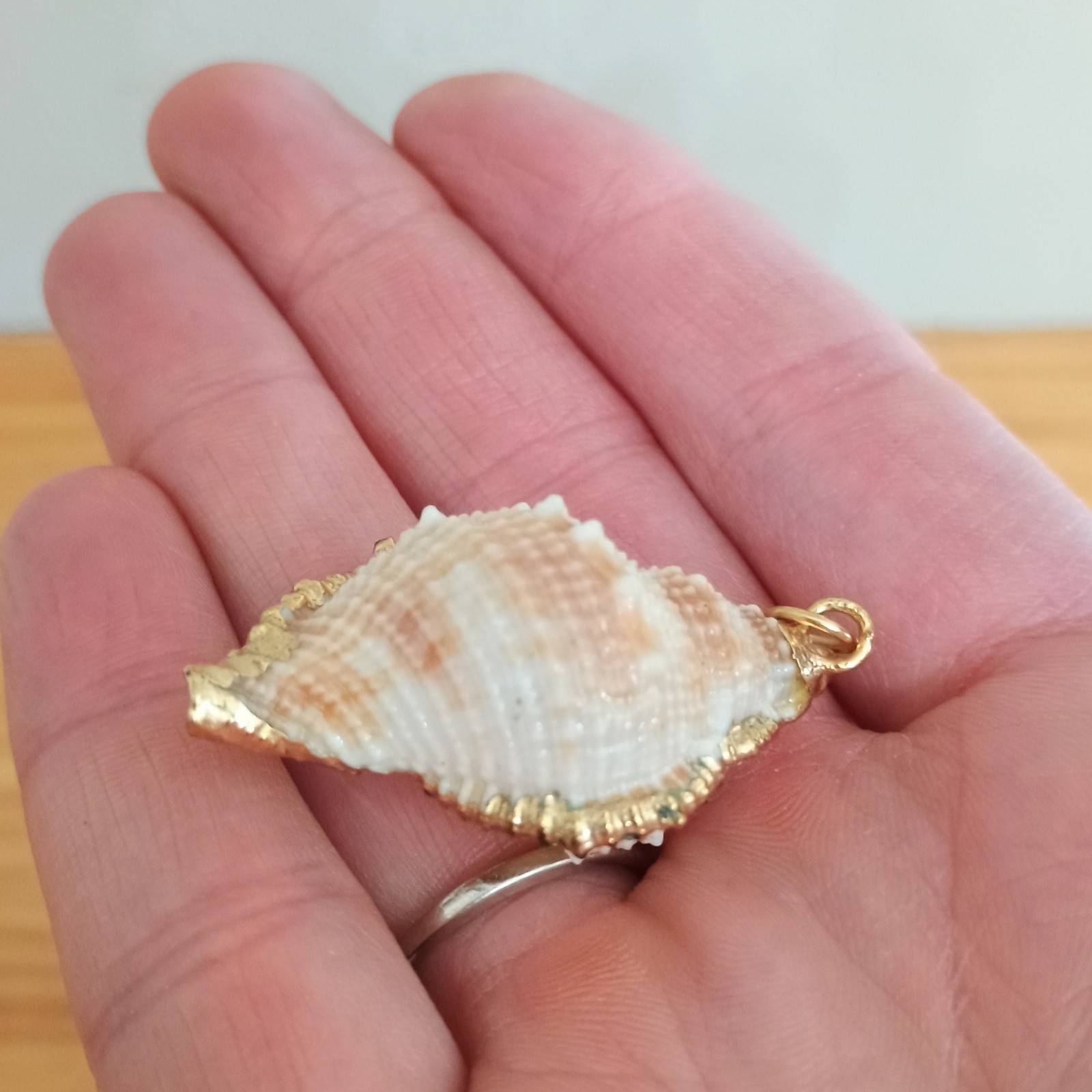Natural Conch Seashell Pendant Gold Accented Nautical Ocean