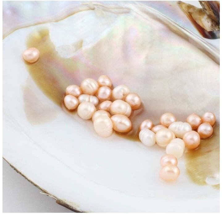 25 Freshwater Pearls with 5-7mm Big Natural Cultured Pearl 1 Vacuum Pack Oyster