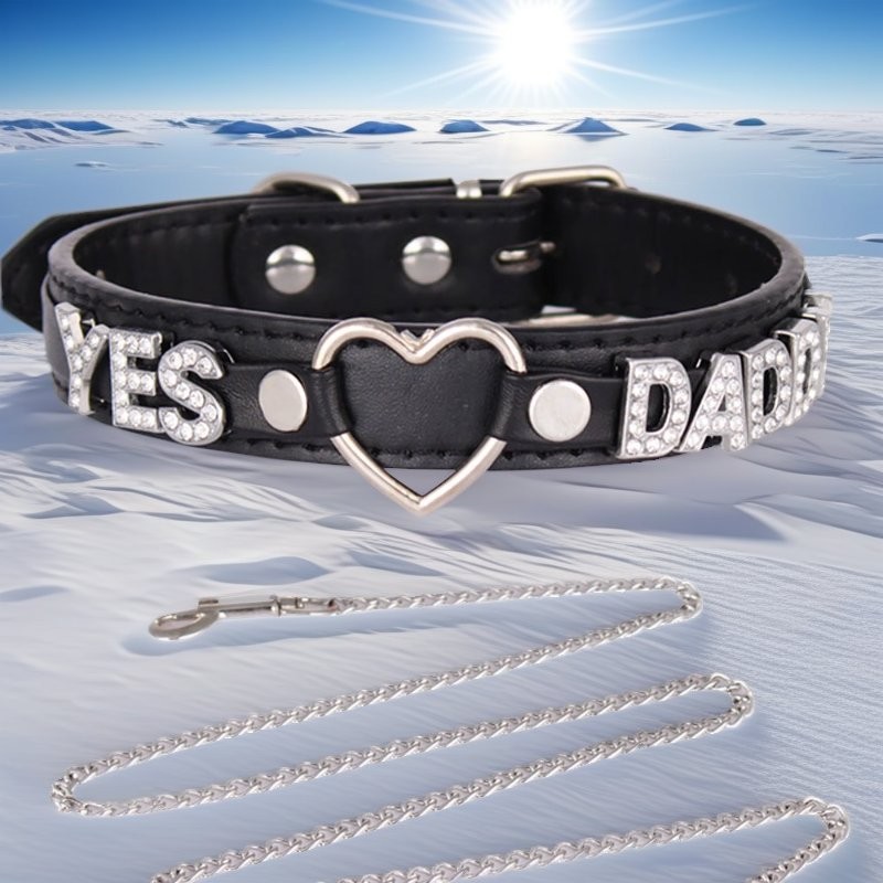 SEX WIFE Choker DIY BDSM Gift Necklace Heart Custom Collar Chain Metal Leash S4