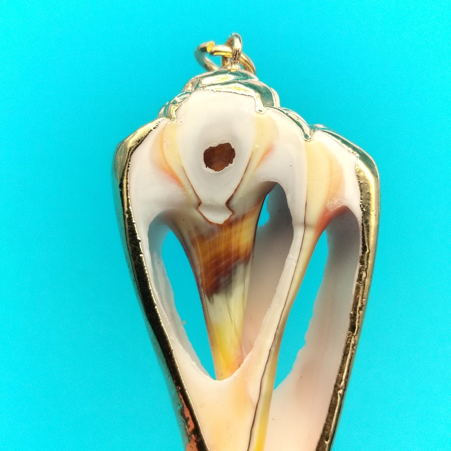 Natural Seashell Conch Pendant Gold Tone Framed Nautical Beach Jewelry ~1.25″