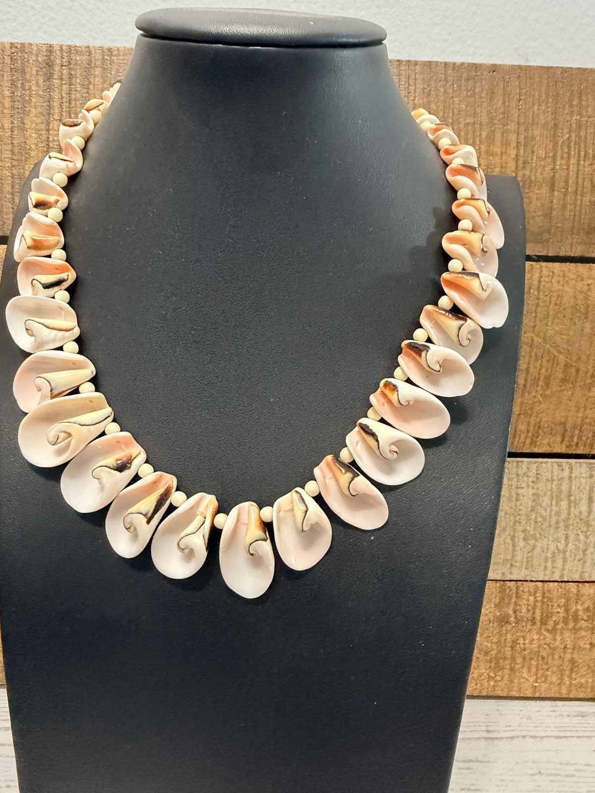 Conch Shell Necklace Sea Shell Beach