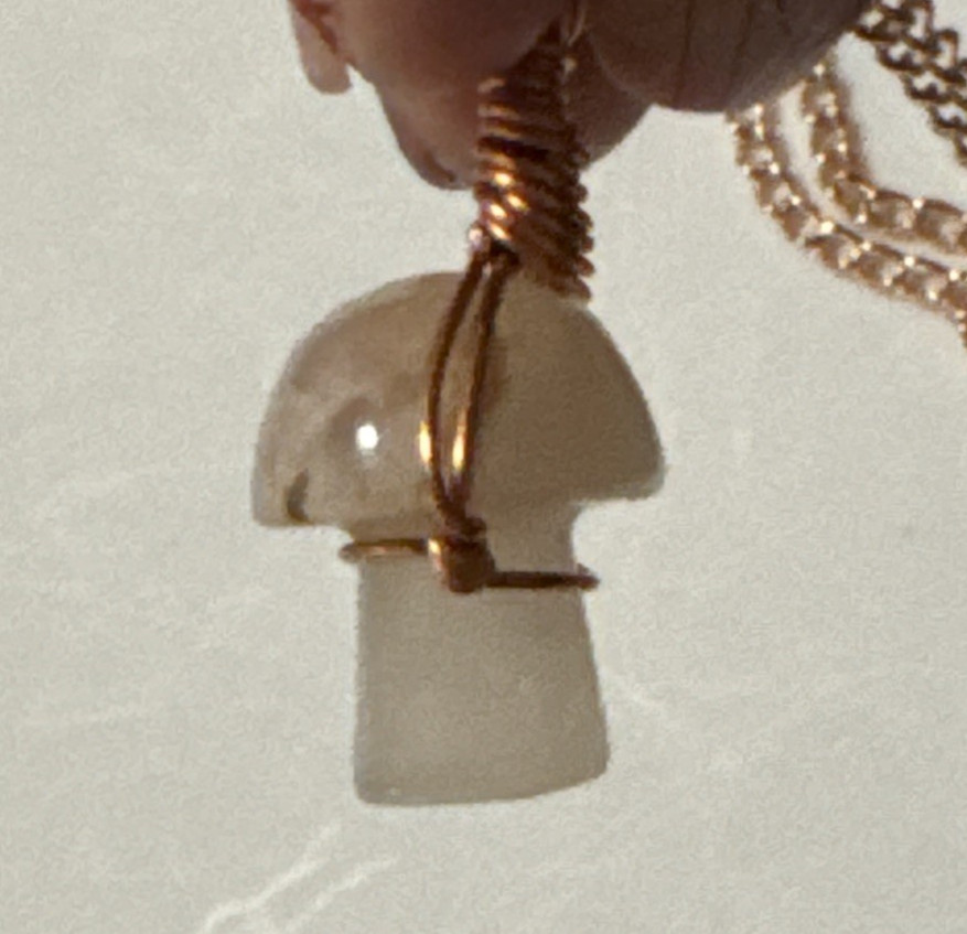 Mushroom Agate Pendant Necklace Jewelry Rose Gold Tone 24″ Chain Genuine Stone