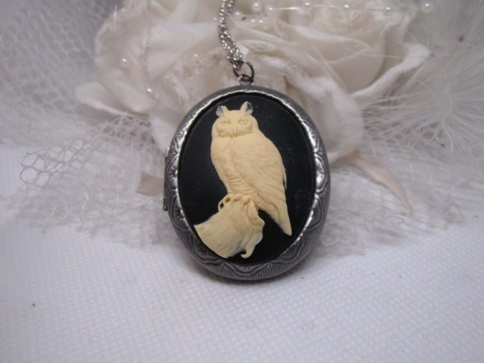 Horned Owl Barn Hoot Cameo PHOTO SILVER Necklace Locket PILL BOX Valentine’s Day