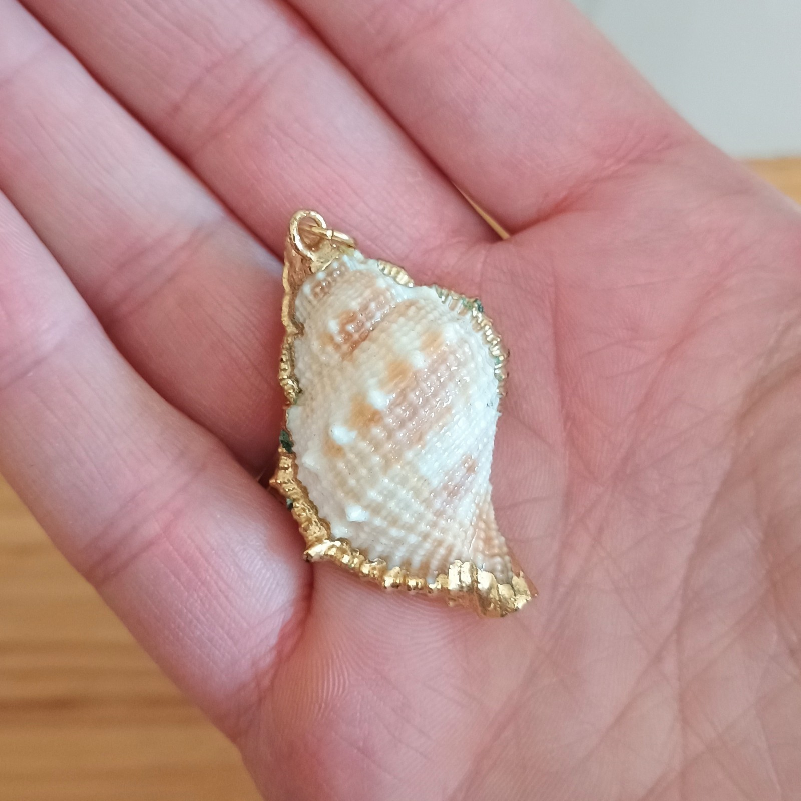 Natural Conch Seashell Pendant Gold Accented Nautical Ocean