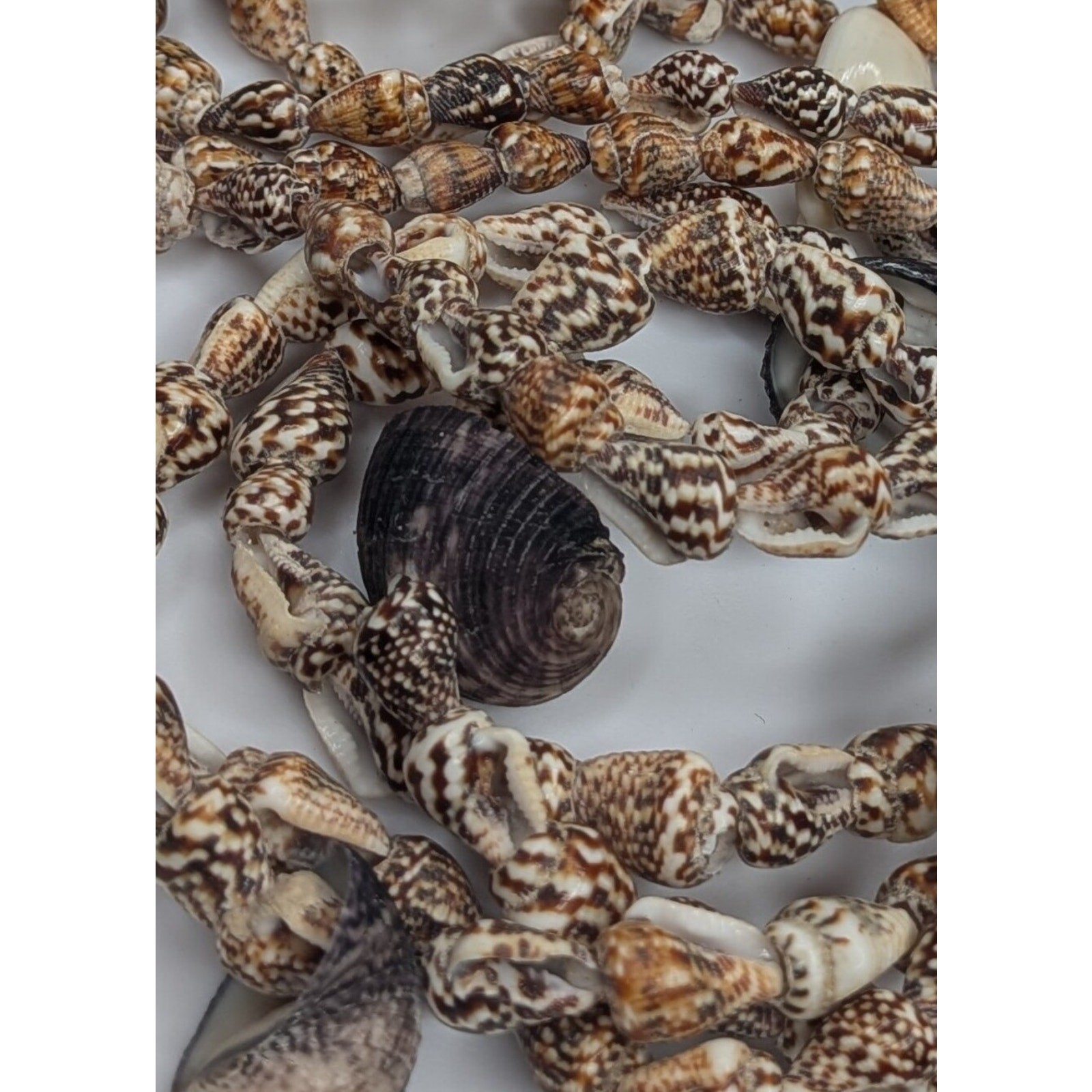 Necklaces Lot Boho Abalone Beach Cowrie Conch Shells Flower Layered Statement 7