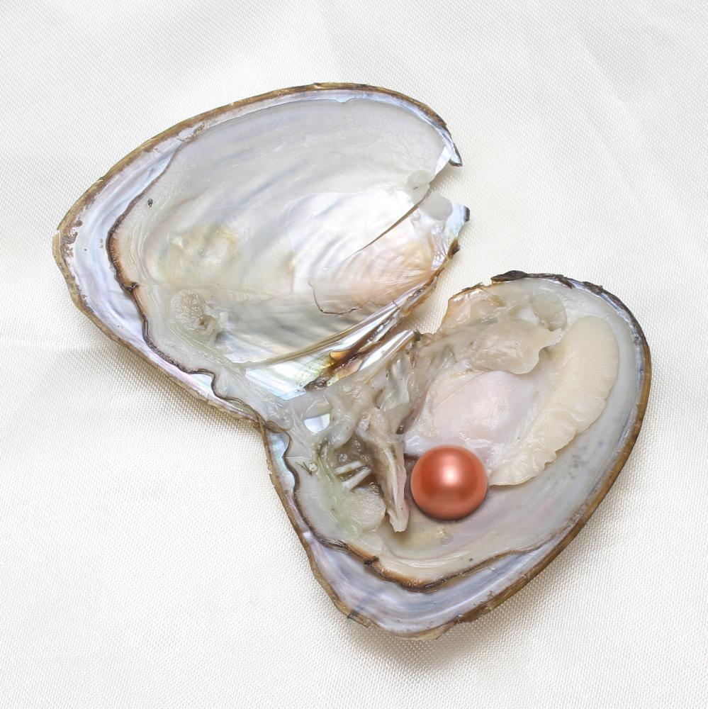 10Pcs 7-8mm Oysters Real Pearl Natural Pearl Freshwater Pearl Gift Party