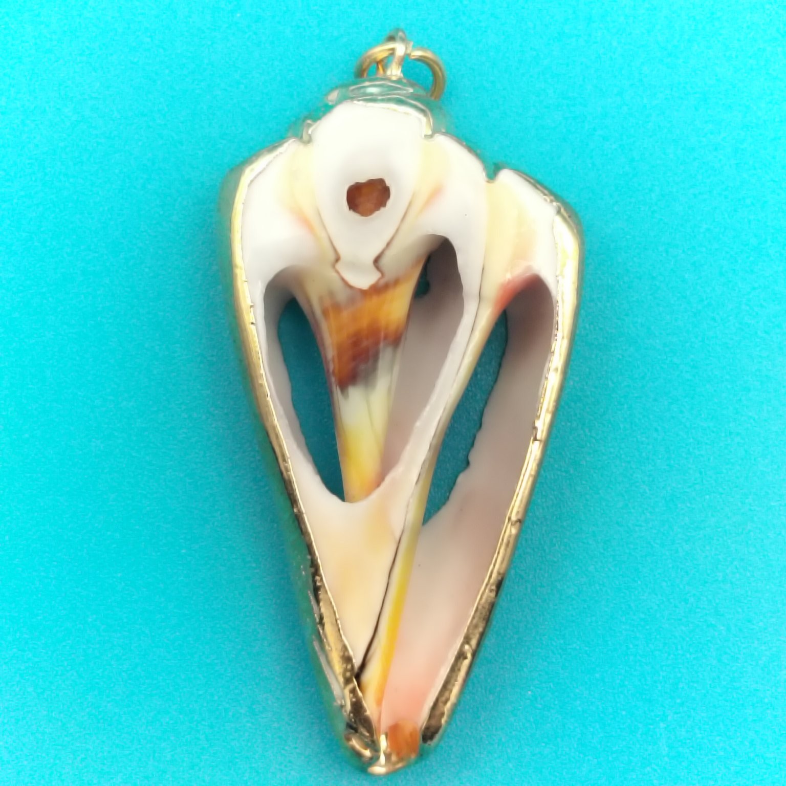 Natural Seashell Conch Pendant Gold Tone Framed Nautical Beach Jewelry ~1.25″