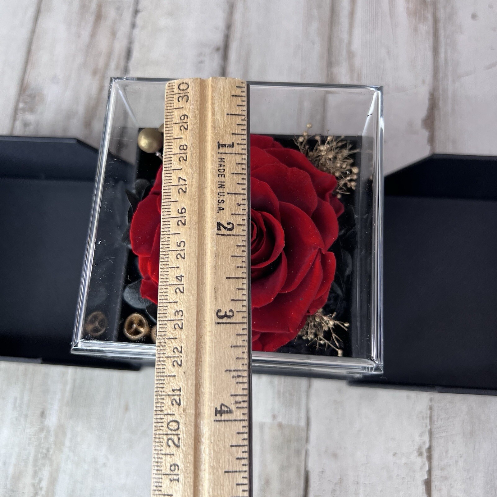 Just For You Rose with Necklace in Gift Box, Gifts for Her Anytime.