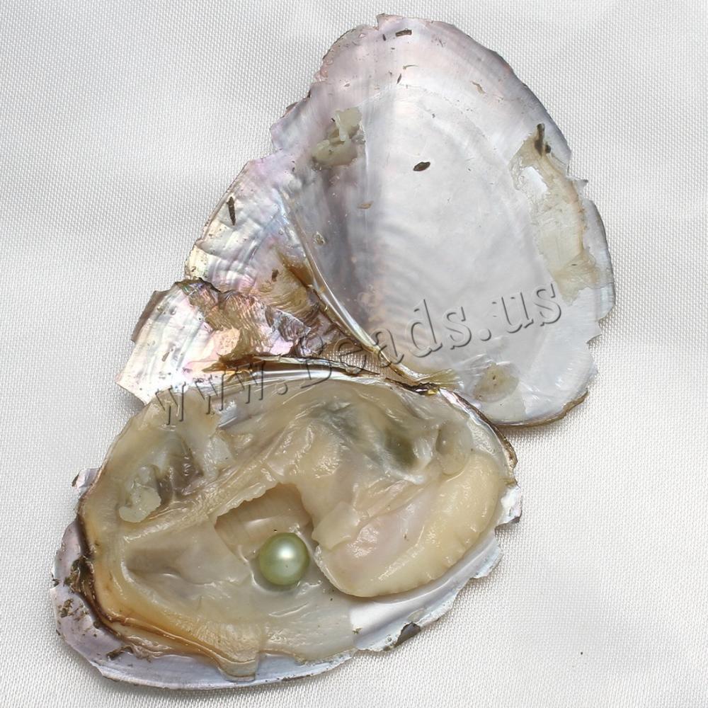 10PCS Natural Akoya Pearl Oysters Real Pearl Freshwater Pearl 7-8mm Holiday Gift