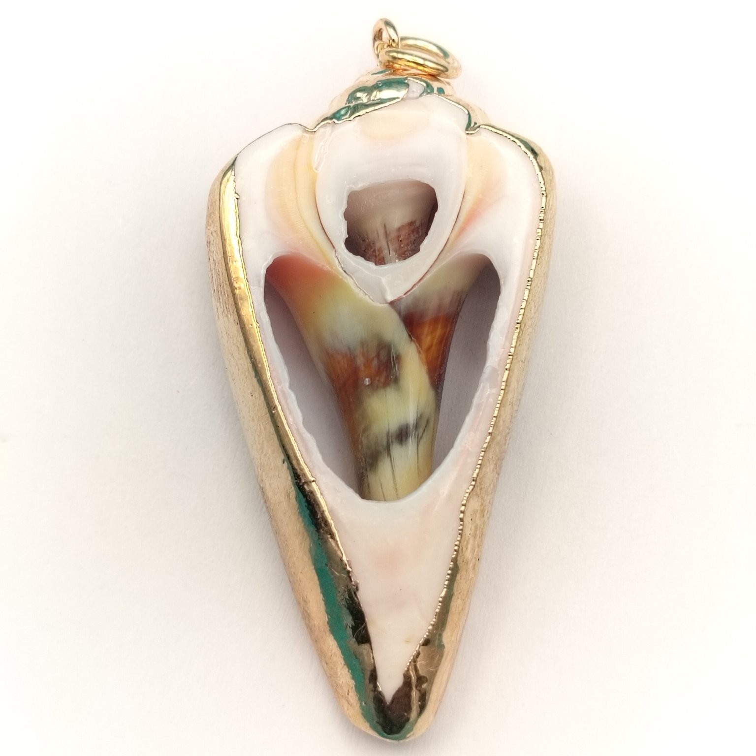 Natural Seashell Conch Pendant Gold Tone Framed Nautical Beach Jewelry ~1.25″
