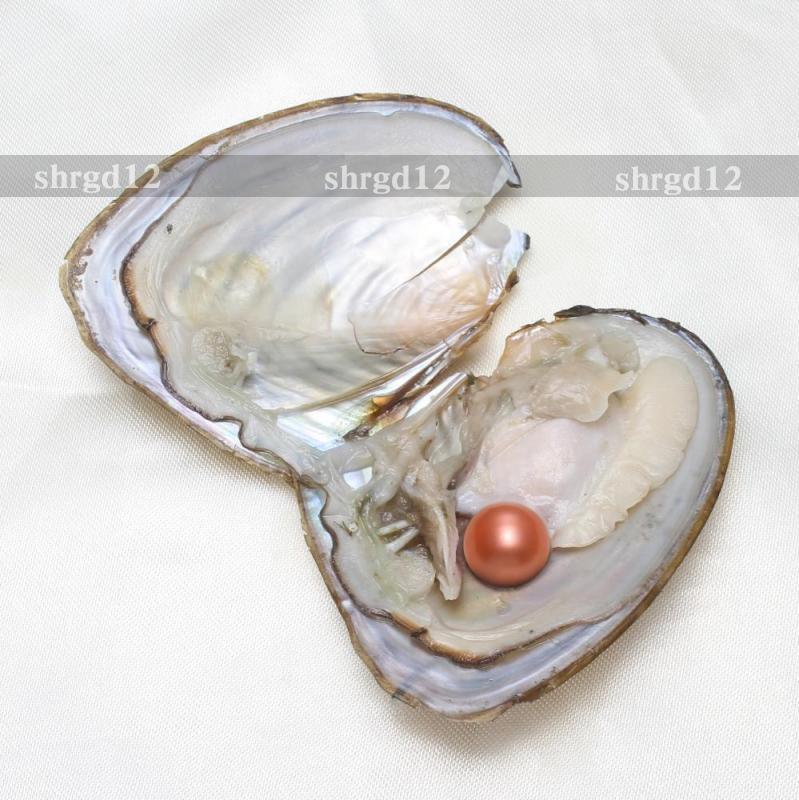 10PCS 7-8mm Natural Akoya Pearl Oysters Real Pearl Freshwater Pearl Holiday Gift