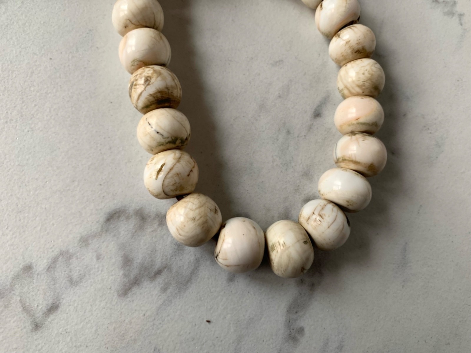 Rare Naga Conch Shell Necklace 16-21mm, 26″ length Necklace 26