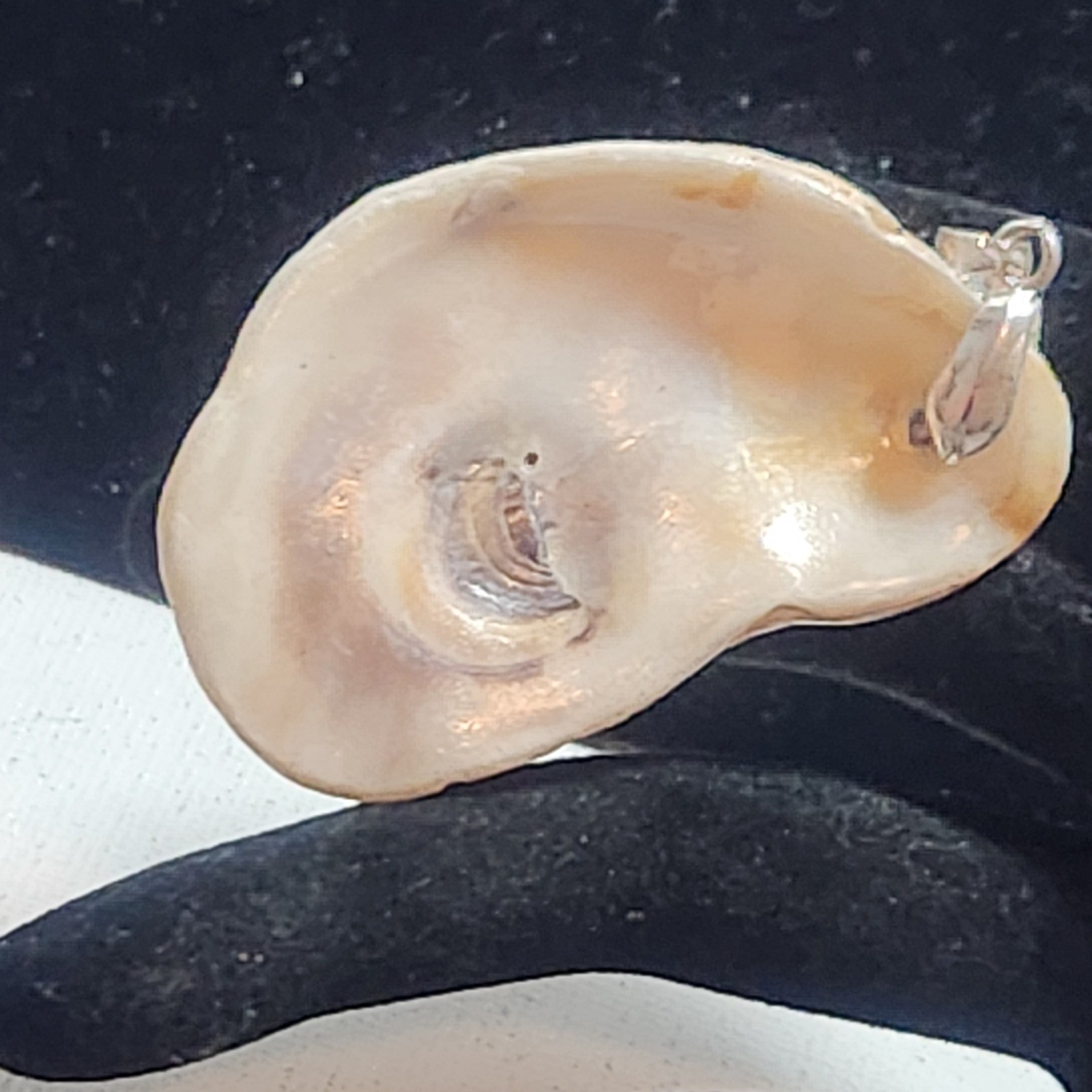 Natural Shell Pendant Organic Coastal Nautical Sea Shell Jewelry 2 Inch