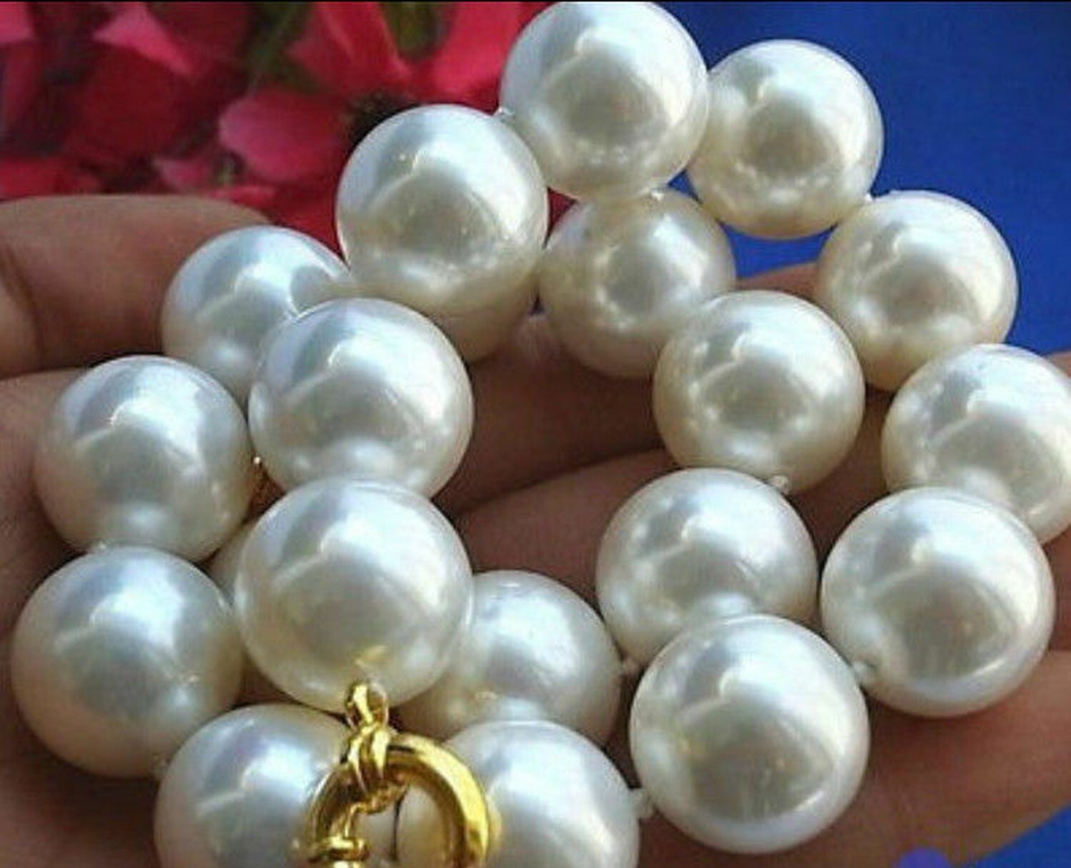 Huge 20mm White 100% Real South Sea Shell Pearl Necklace 18-36” AAA