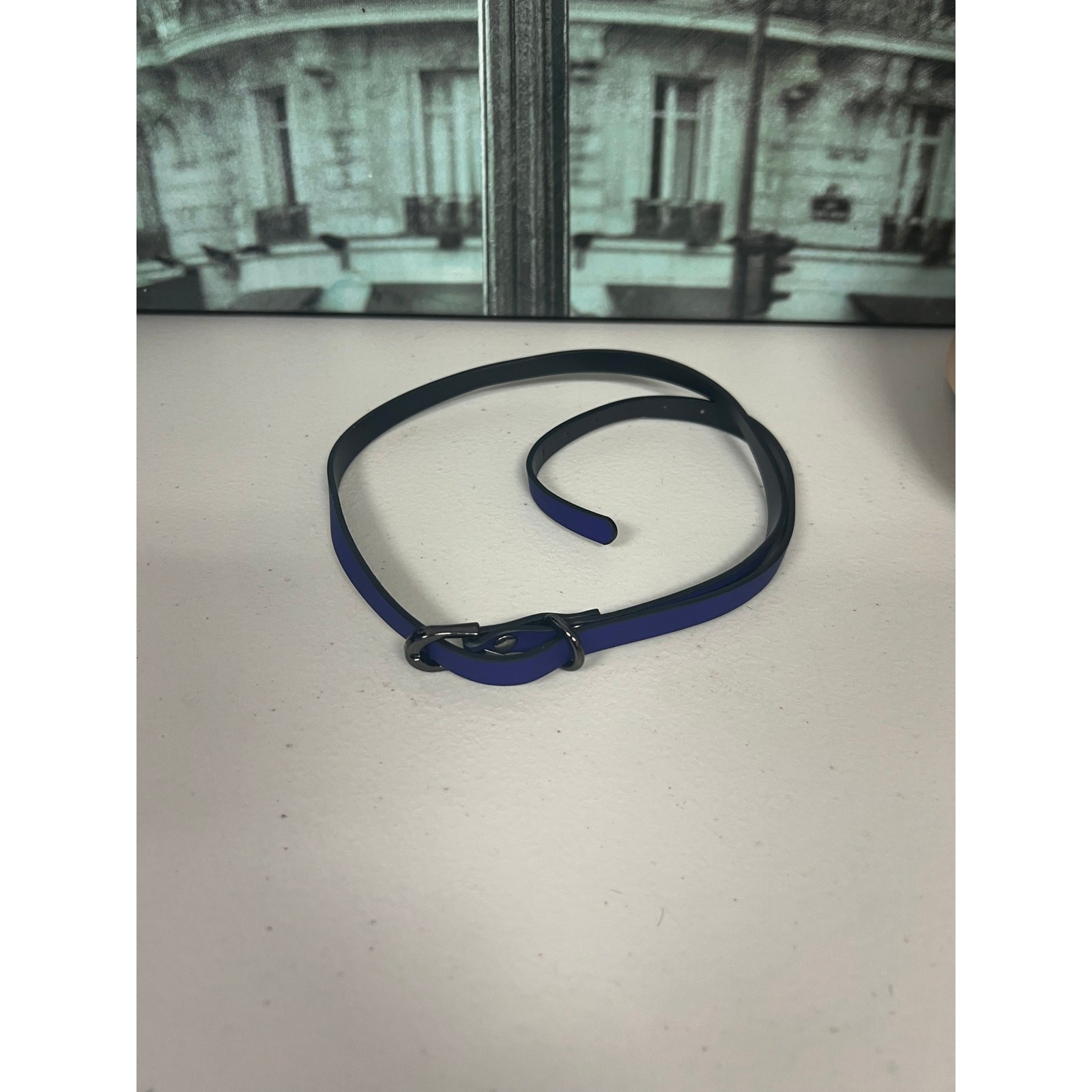 Gothic Thermochromic Faux Leather Choker with Detachable Leash