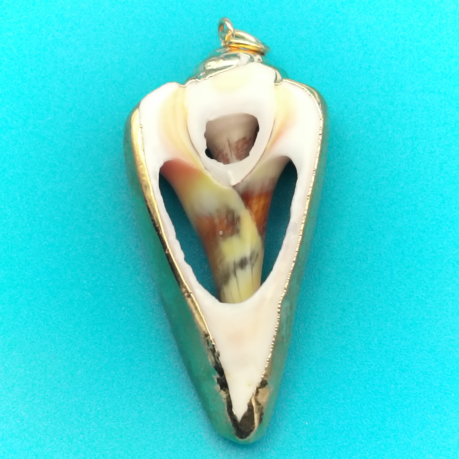 Natural Seashell Conch Pendant Gold Tone Framed Nautical Beach Jewelry ~1.25″