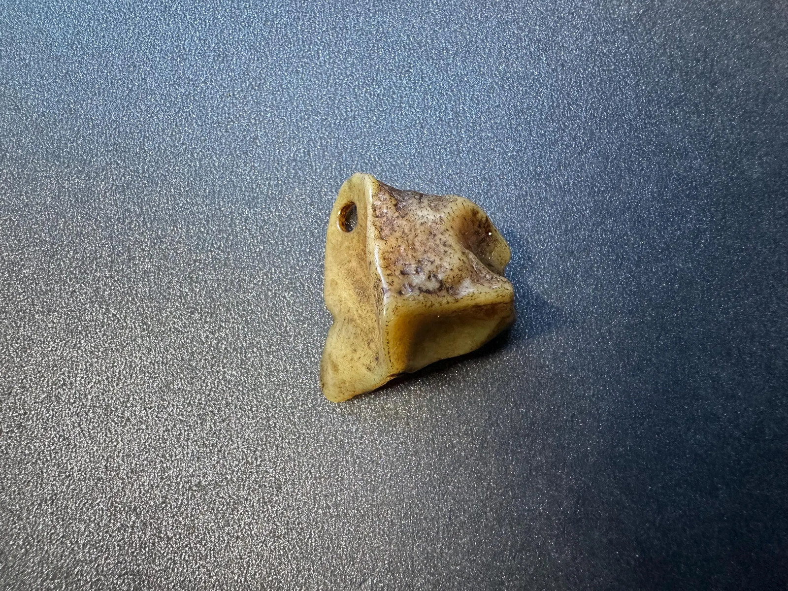 Nepal Himalayan Yak Bone Skull Talisman | Tibetan Buddhist Kapala Pendant | Sac