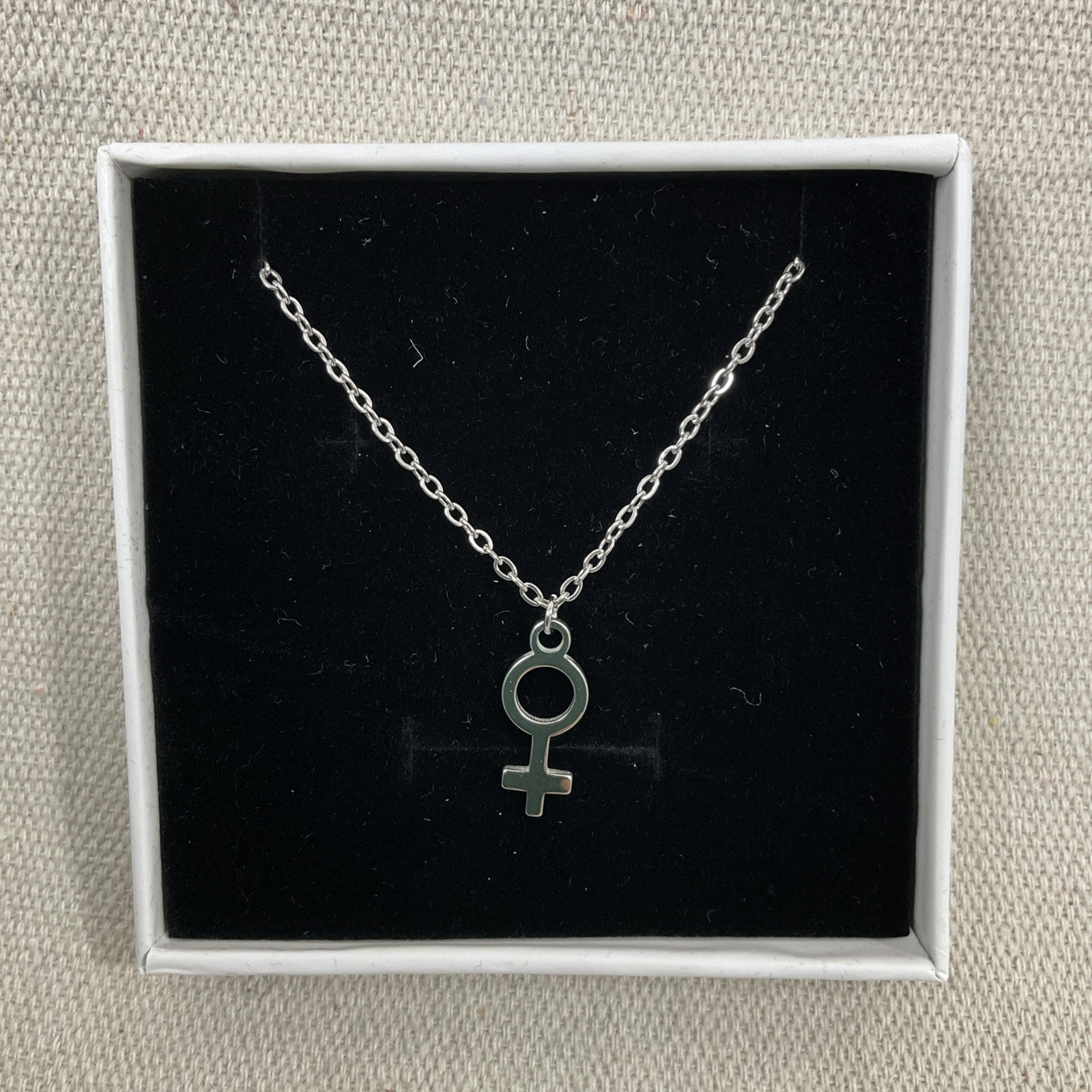 Best Wishes Set of 2 Necklaces, Male and Female Symbols Silver