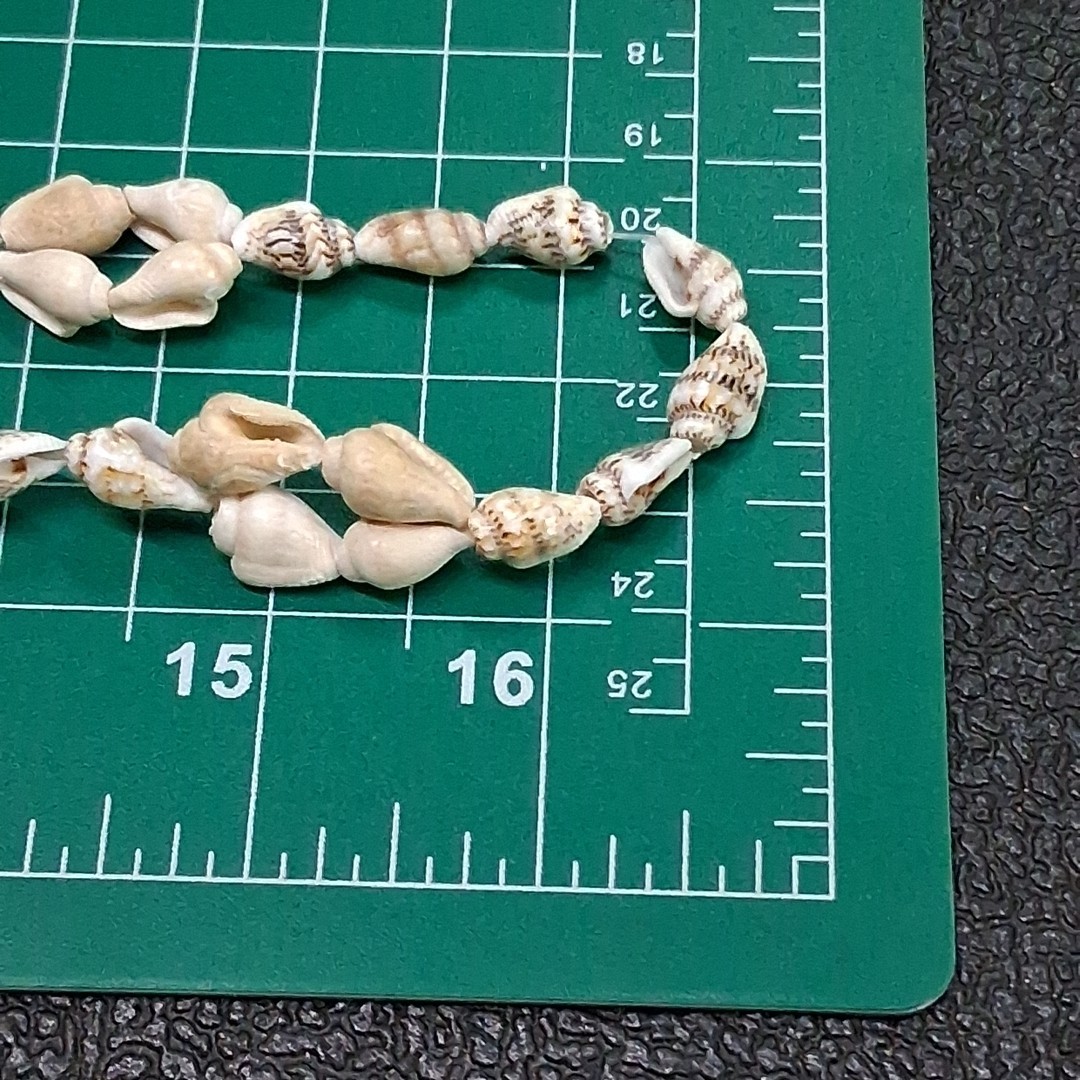 Vintage Brown Miniature Conch Sea Shell 34” Necklace