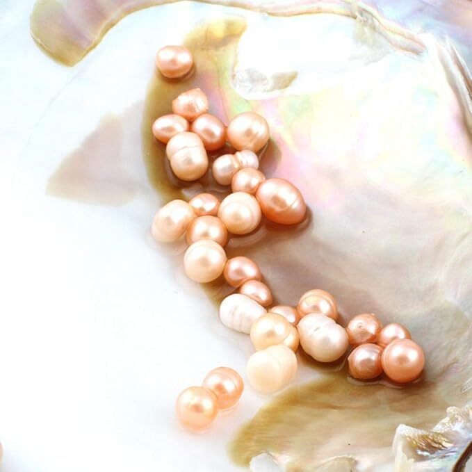 Big Natural Freshwater Cultured Pearl Oyster With 5-7mm 25 Pearls Vacuum Pack