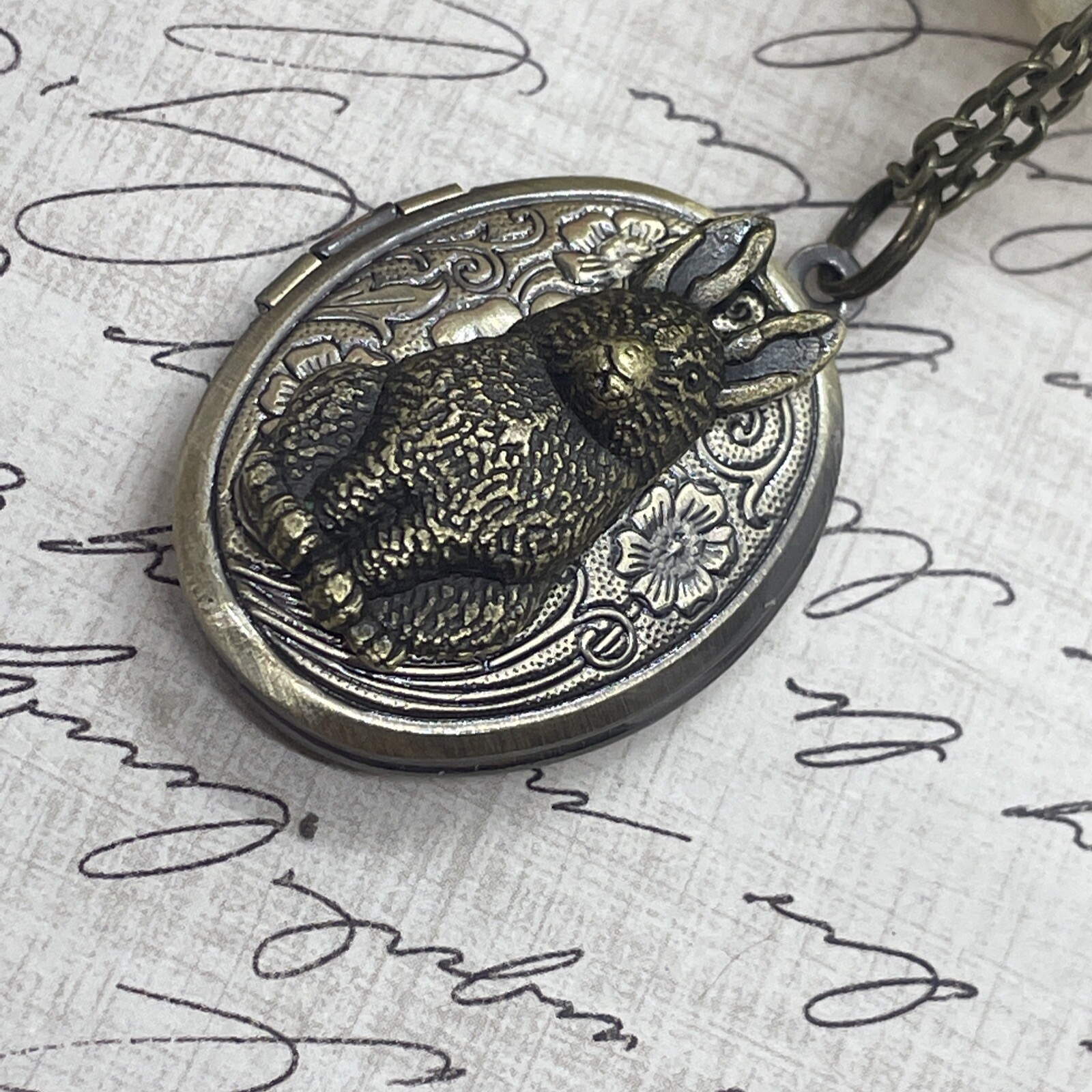 BUNNY RABBIT Locket Necklace JEWELRY Pendant PHOTO bronze Picture Birthday Gift