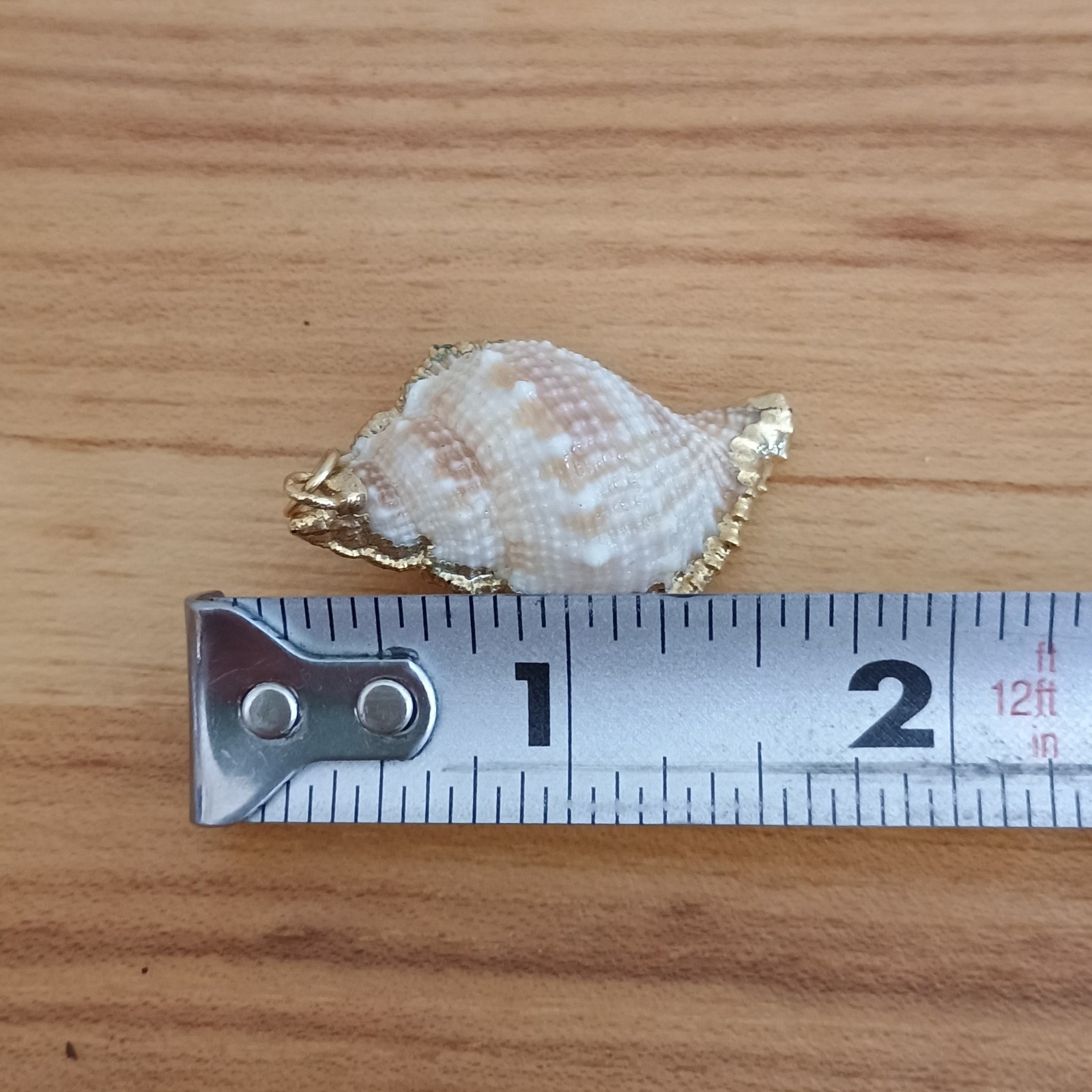 Natural Conch Seashell Pendant Gold Accented Nautical Ocean