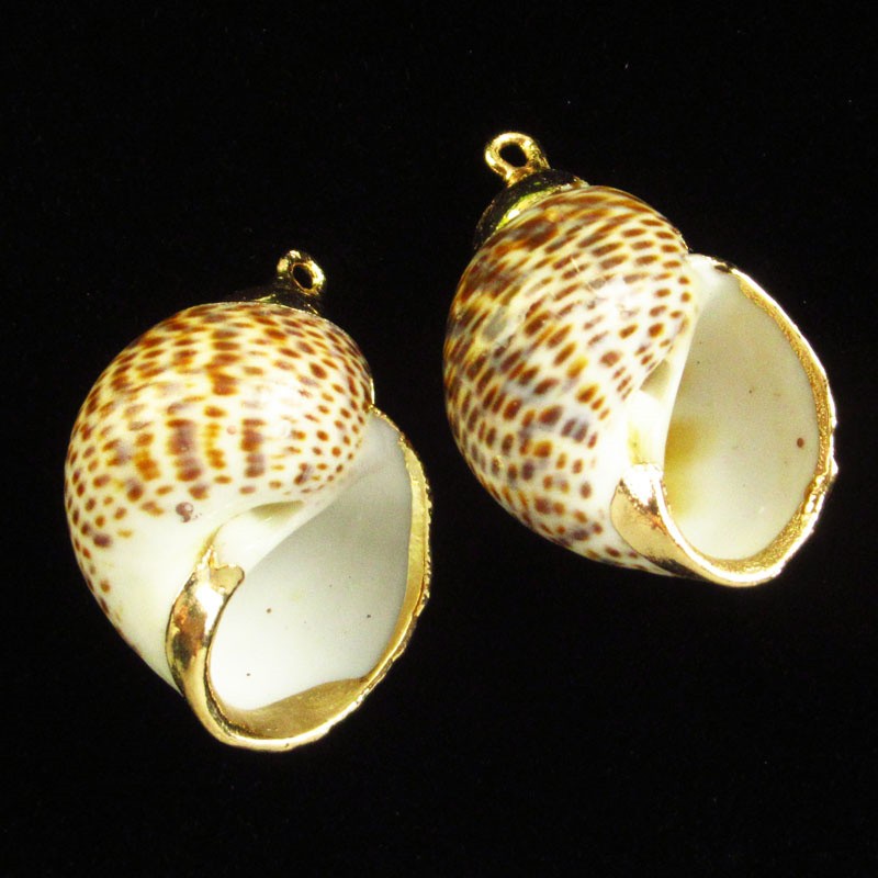 6Pcs 28x20x15mm Natural Gold Plated Nautical Spiral Shell Pendant Bead BK114