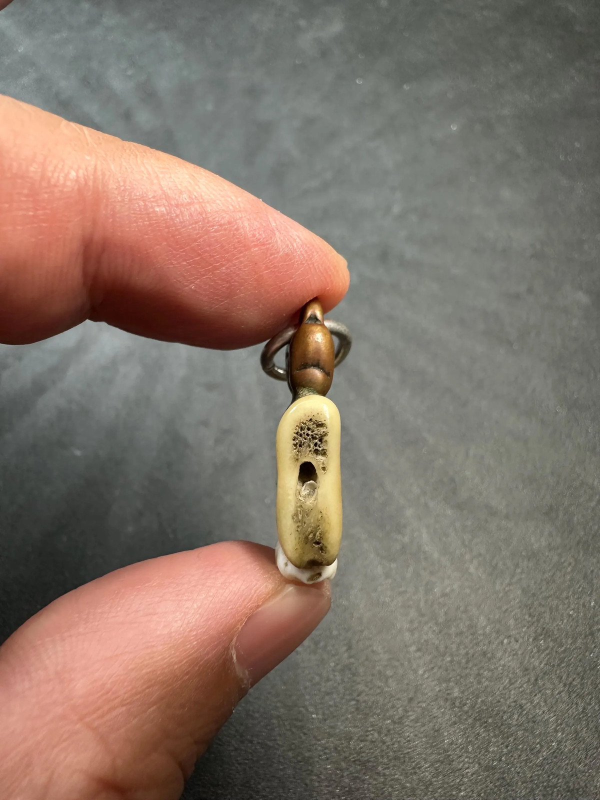 Vintage Himalayan Tooth Amulet Pendant – Tribal Talisman Copper Charm