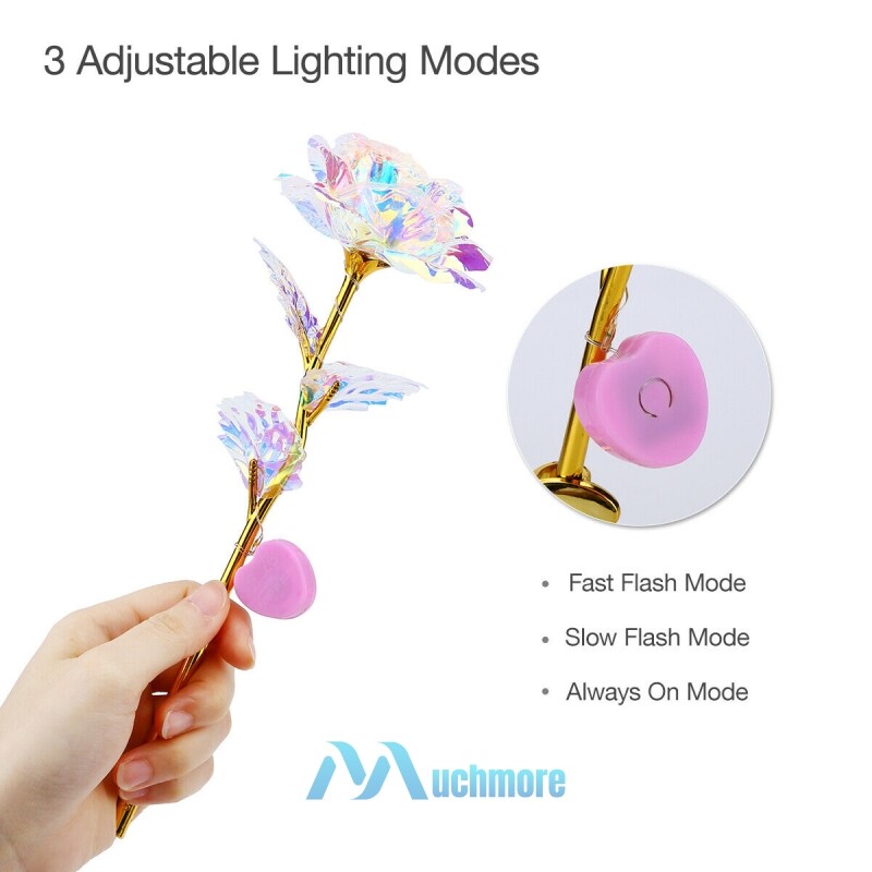 Beauty and The Beast Rose LED Enchanted Galaxy Rose Eternal Flower Lighted Décor
