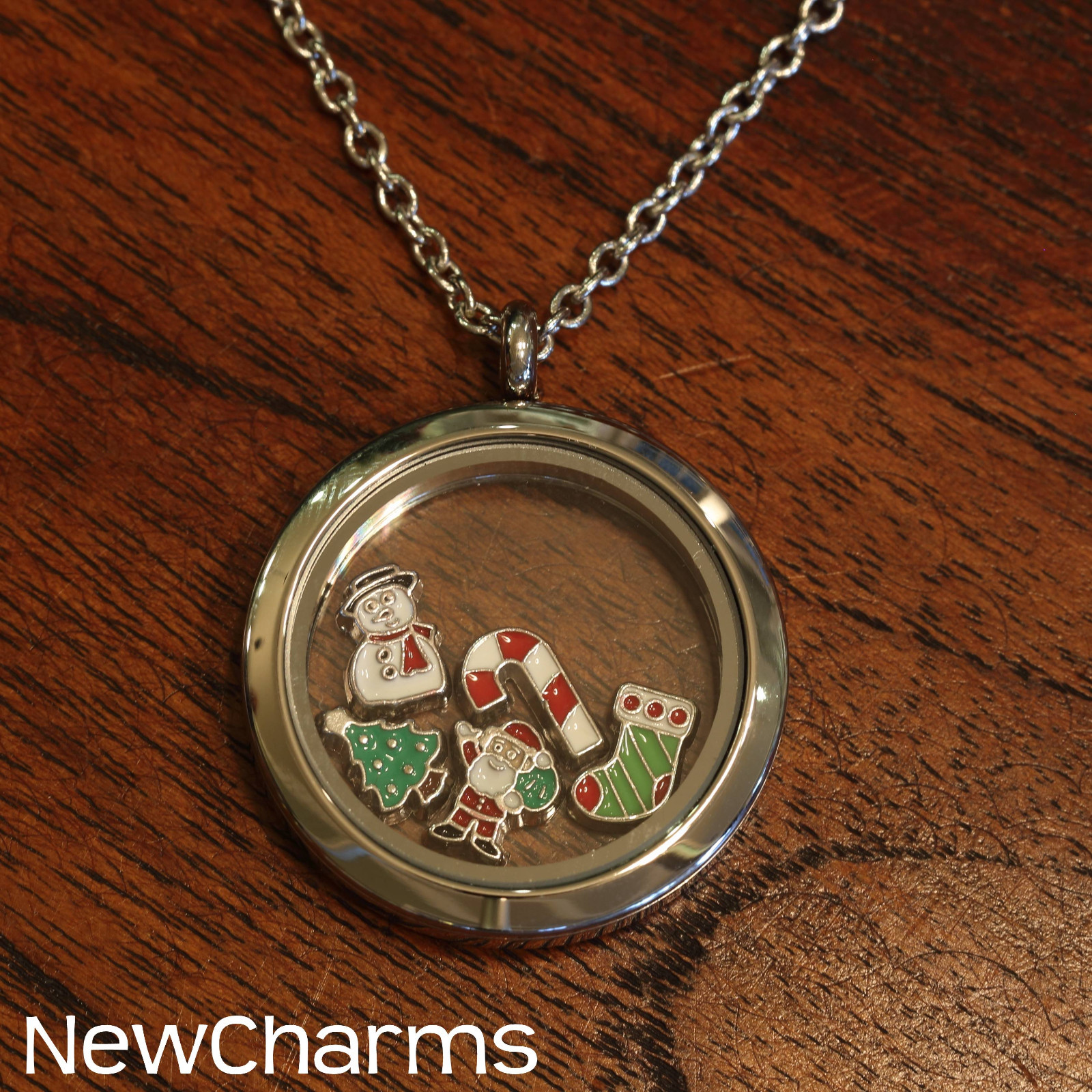 Holiday Floating Living Locket, Necklace & 5 Living Locket Charms Christmas Gift