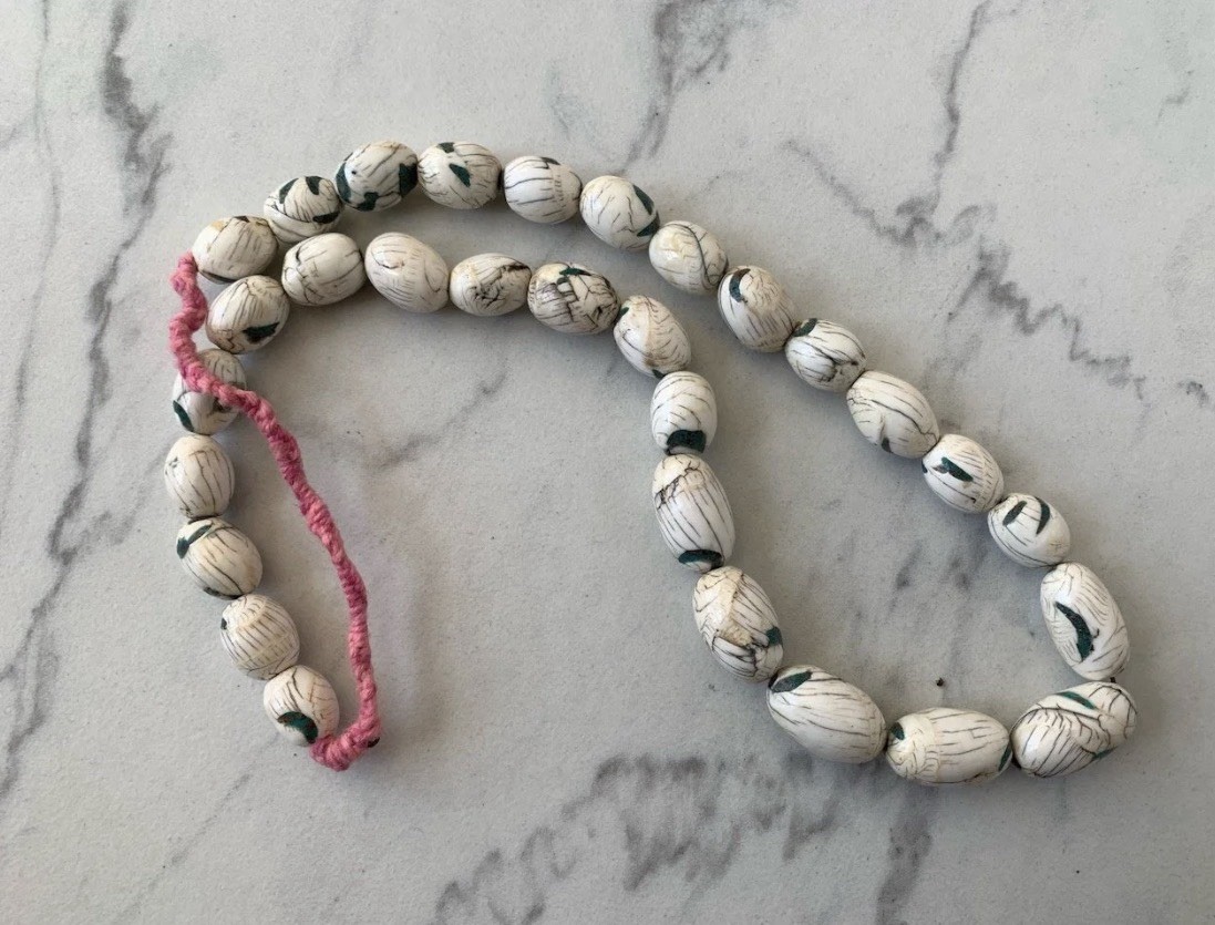 Rare Naga Conch Shell Necklace 14-16mm, 28″ Necklace 75