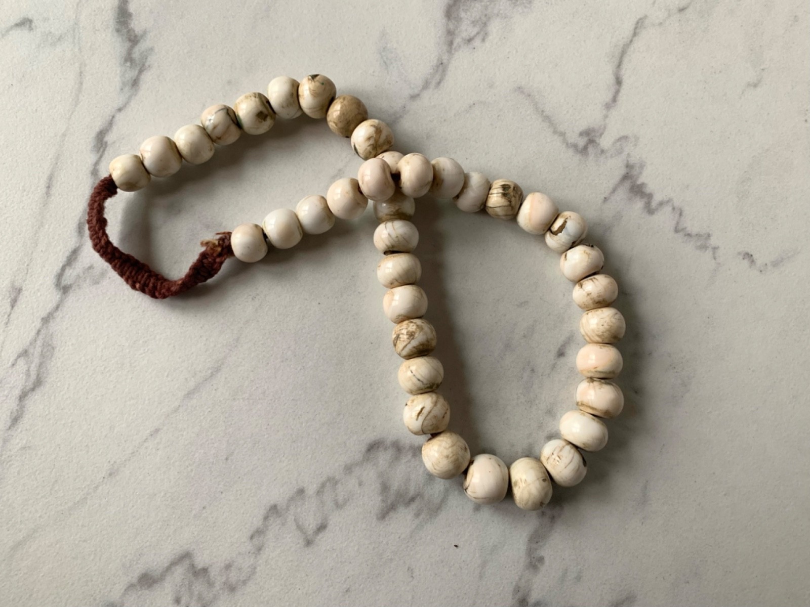 Rare Naga Conch Shell Necklace 16-21mm, 26″ length Necklace 26