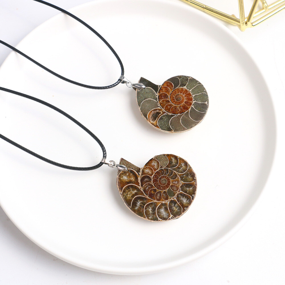 100% Natural Polished Ammonite Fossil Pendant Leather Choker Conch Necklace