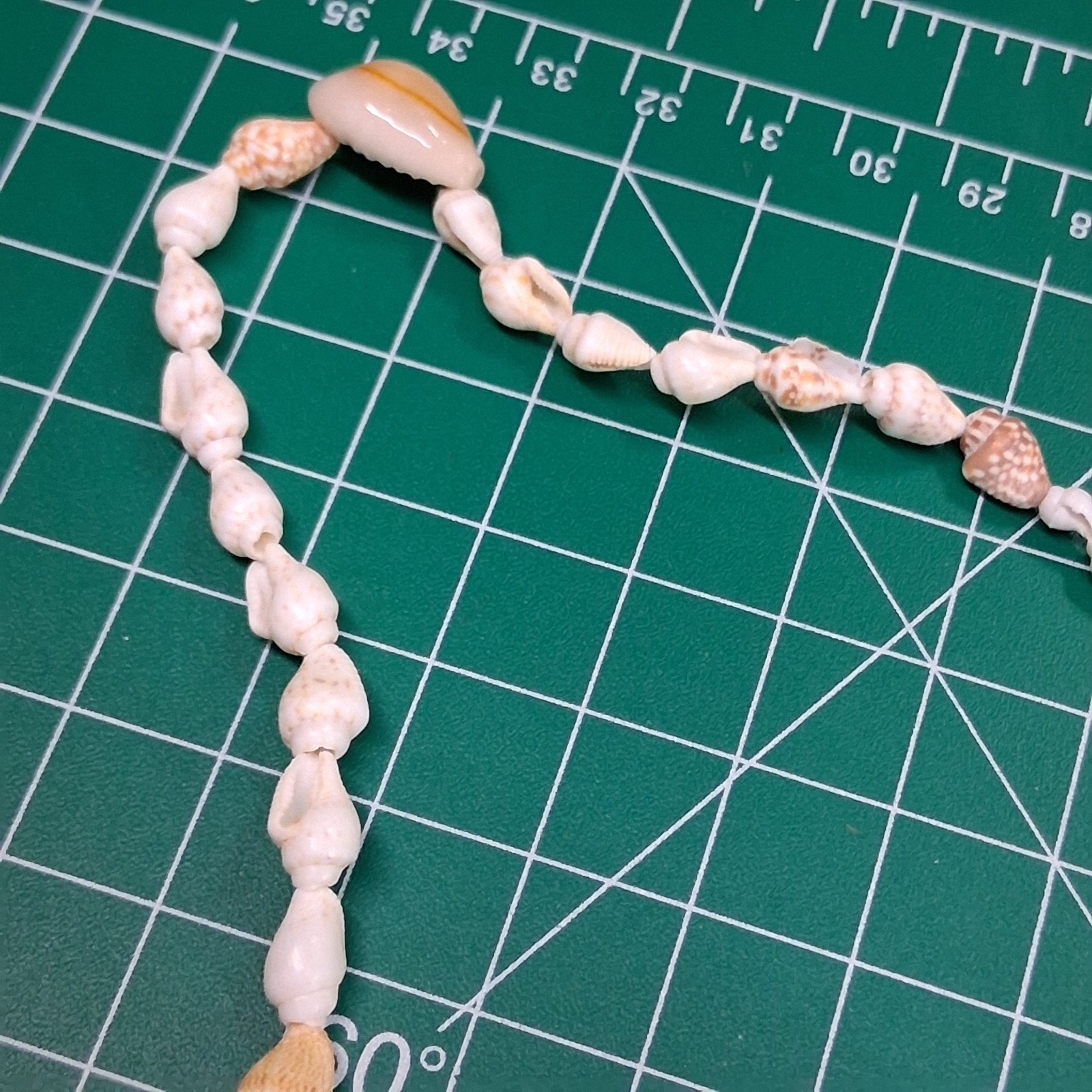 Vintage Small Conch & Glossy Tan Sea Shell 36” Necklace