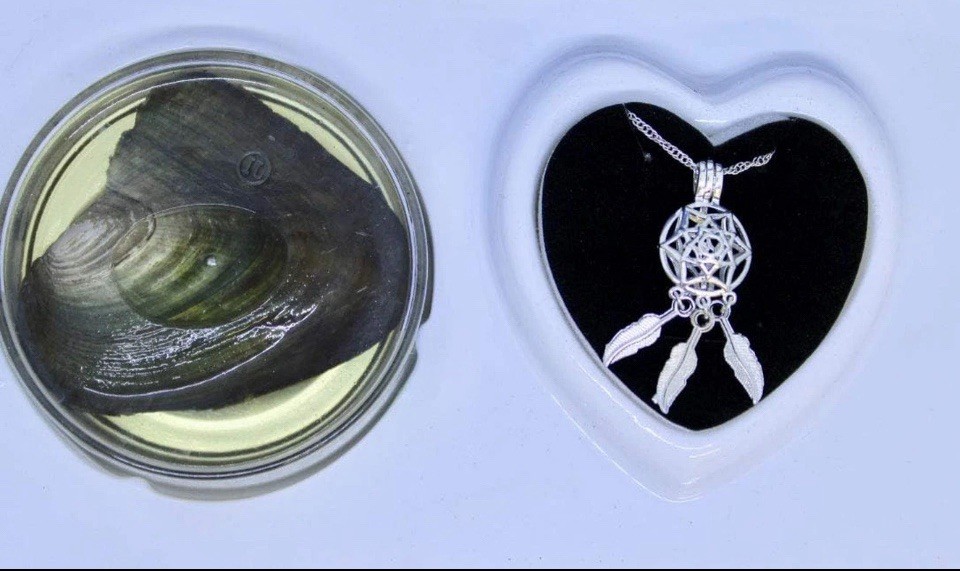 Dream Catcher Love Wish Pearl Kit Chain Necklace Kit Pendant Cultured Pearl