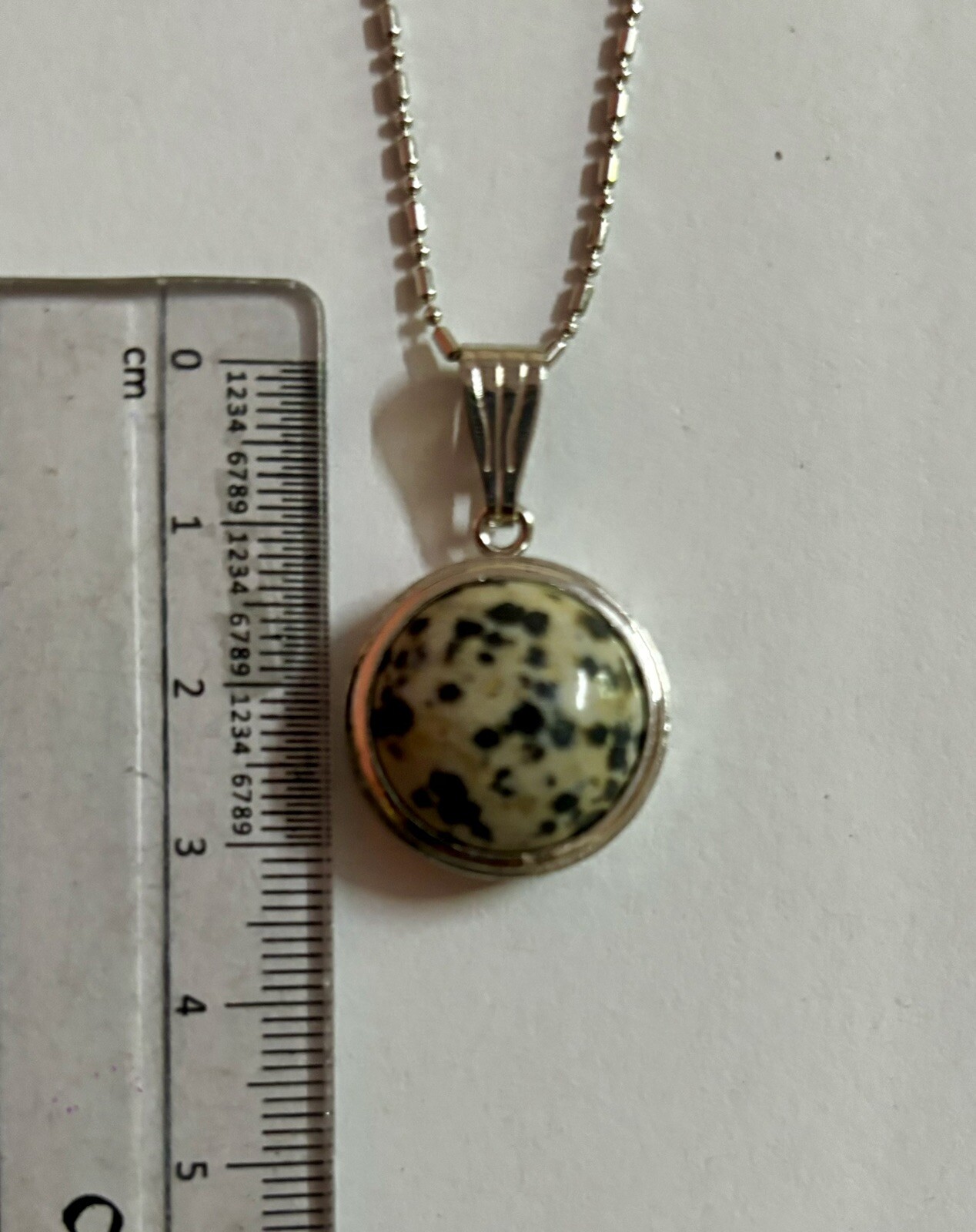 White Gold Filled Dalmation Jasper Fashion Pendant Locket FREE ASSORTED CHAIN #3