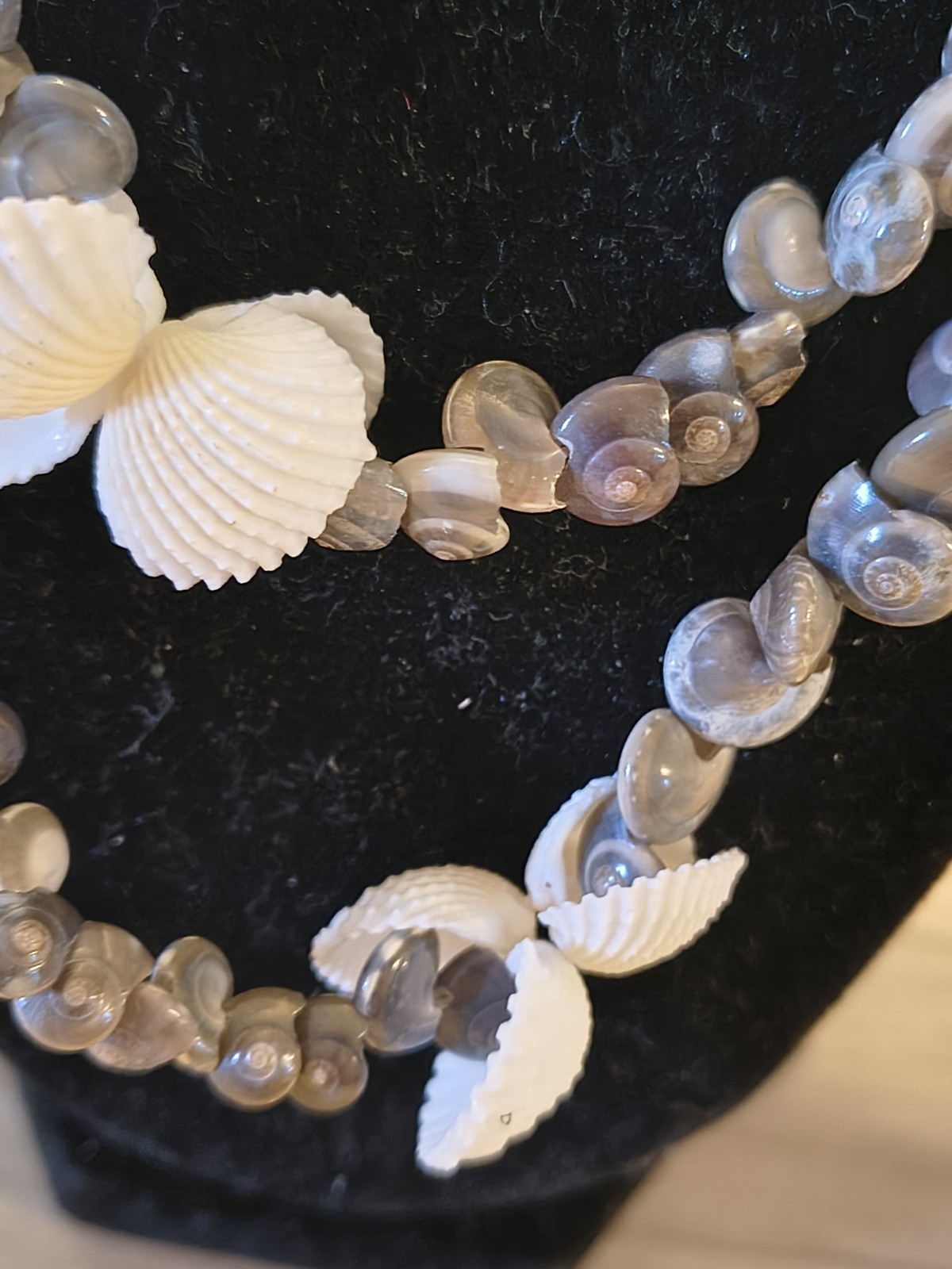 Seashell Long Necklace Great For Summer Fashion Or Anytime You Miss Summer Beach
