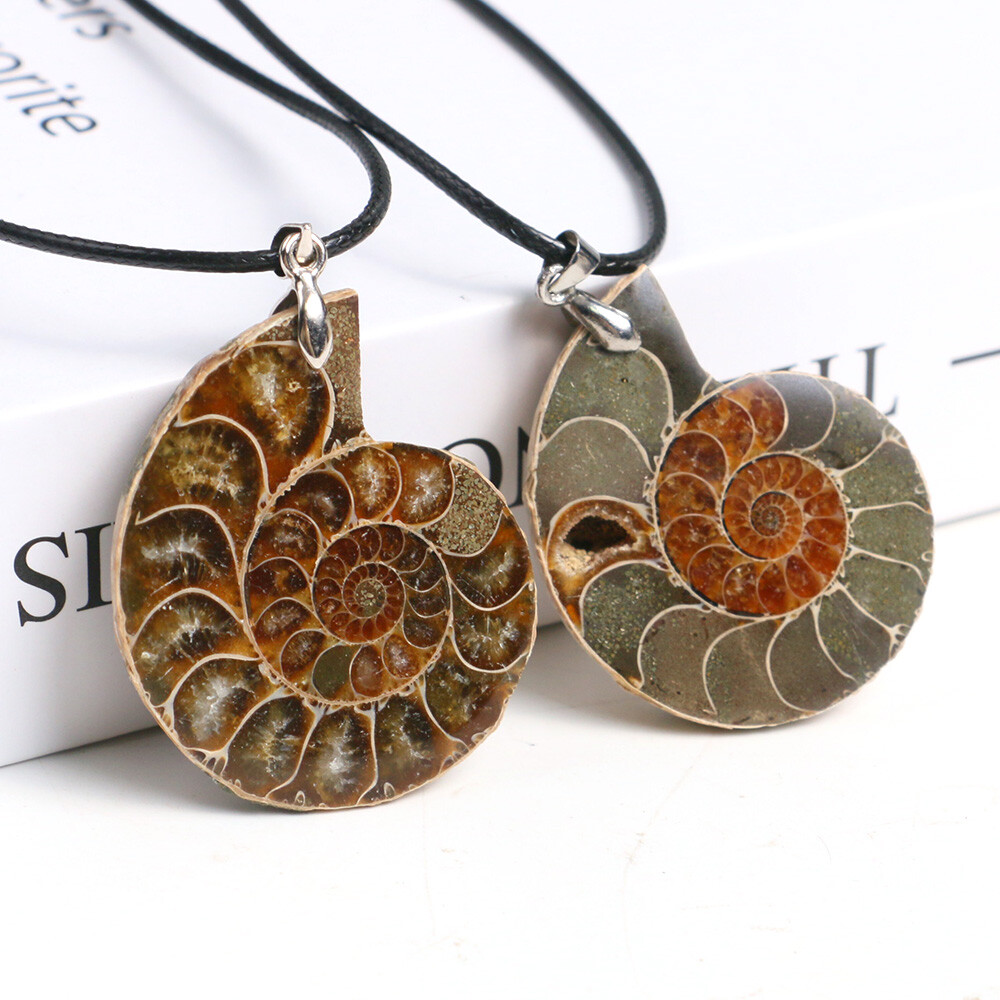 100% Natural Polished Ammonite Fossil Pendant Leather Choker Conch Necklace