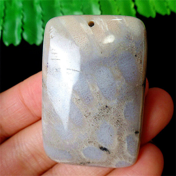 47x33x7mm Natural Africa Chrysanthemum Coral Oblong Pendant Bead EA88747