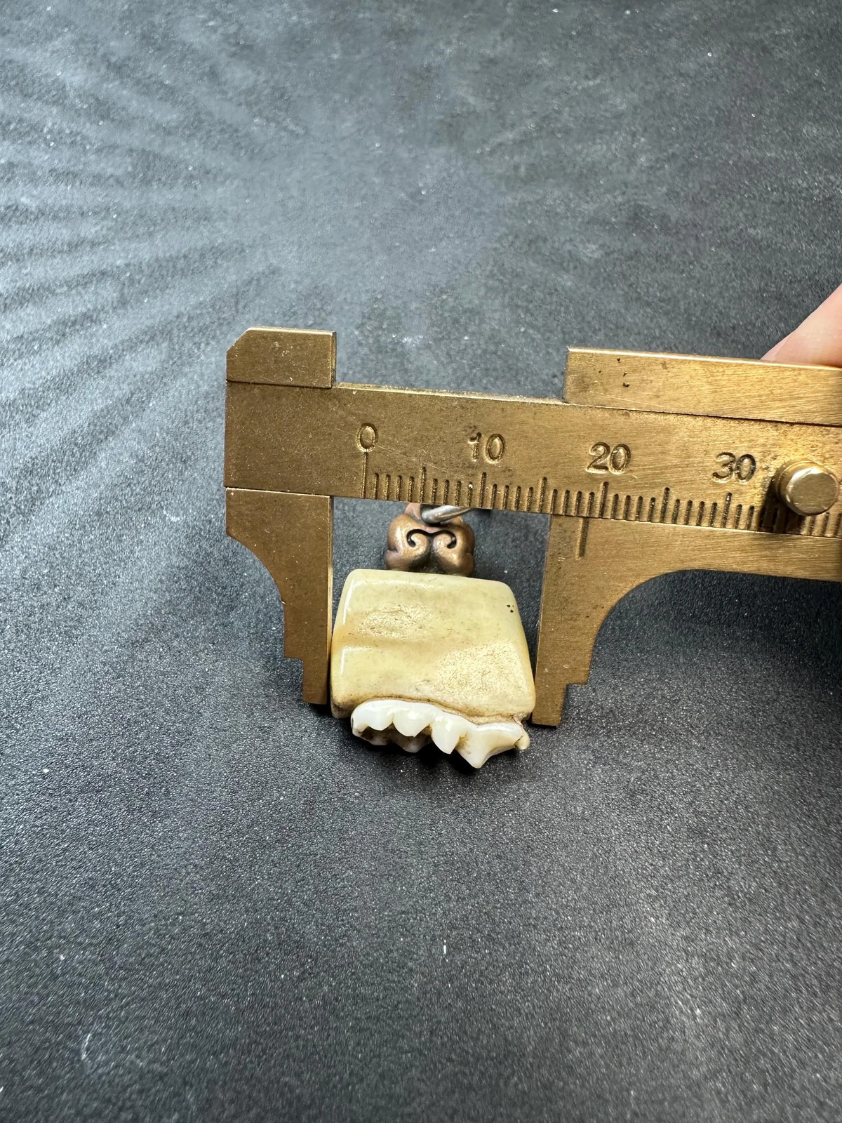 Vintage Himalayan Tooth Amulet Pendant – Tribal Talisman Copper Charm