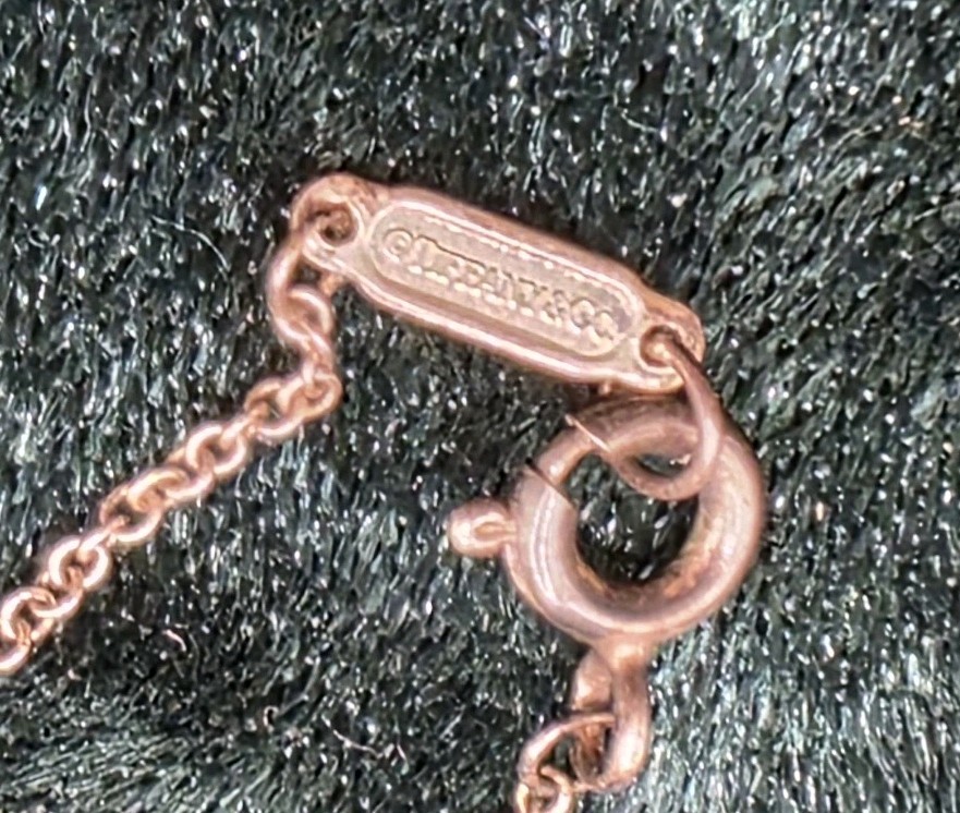 Tiffany & co. Sterling Silver 2014 NIKE Women 13.1 Washington DC Necklace (C163)