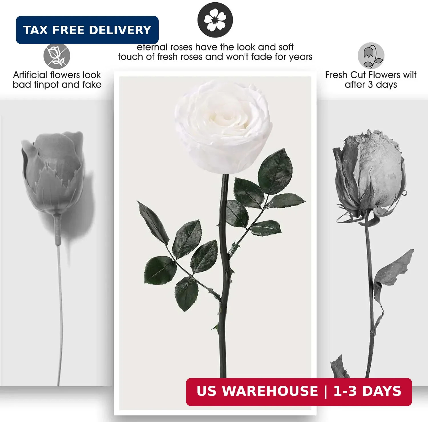 Single Preserved Rose with Necklace for Women,Real Roses Gift Set for Her,Mom Bi