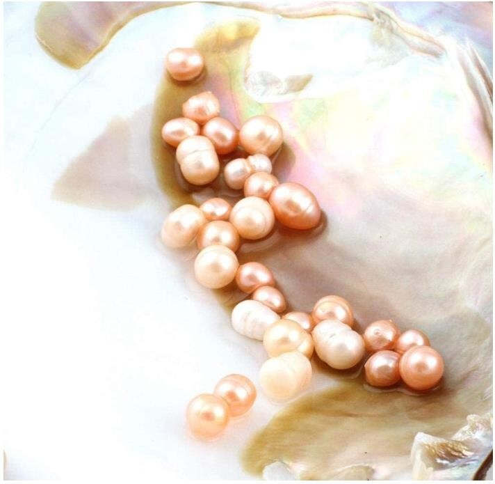 25 Freshwater Pearls with 5-7mm Big Natural Cultured Pearl 1 Vacuum Pack Oyster