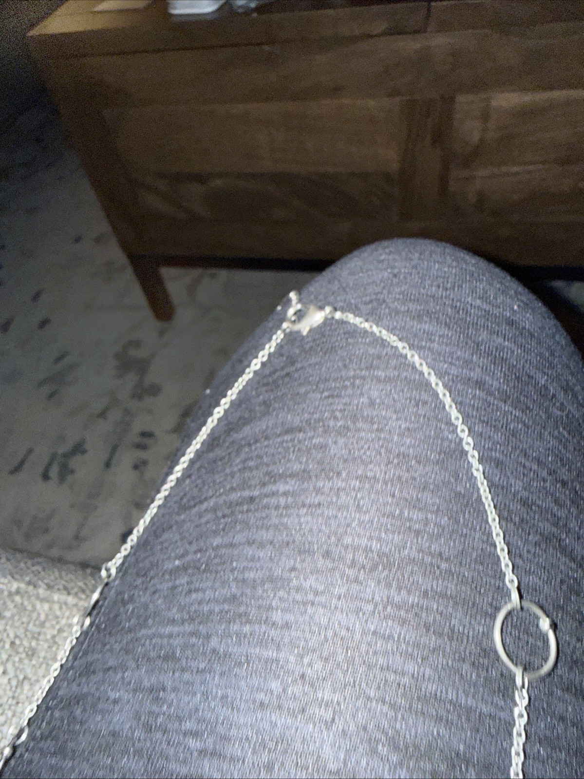 Silver Necklace With Hoops