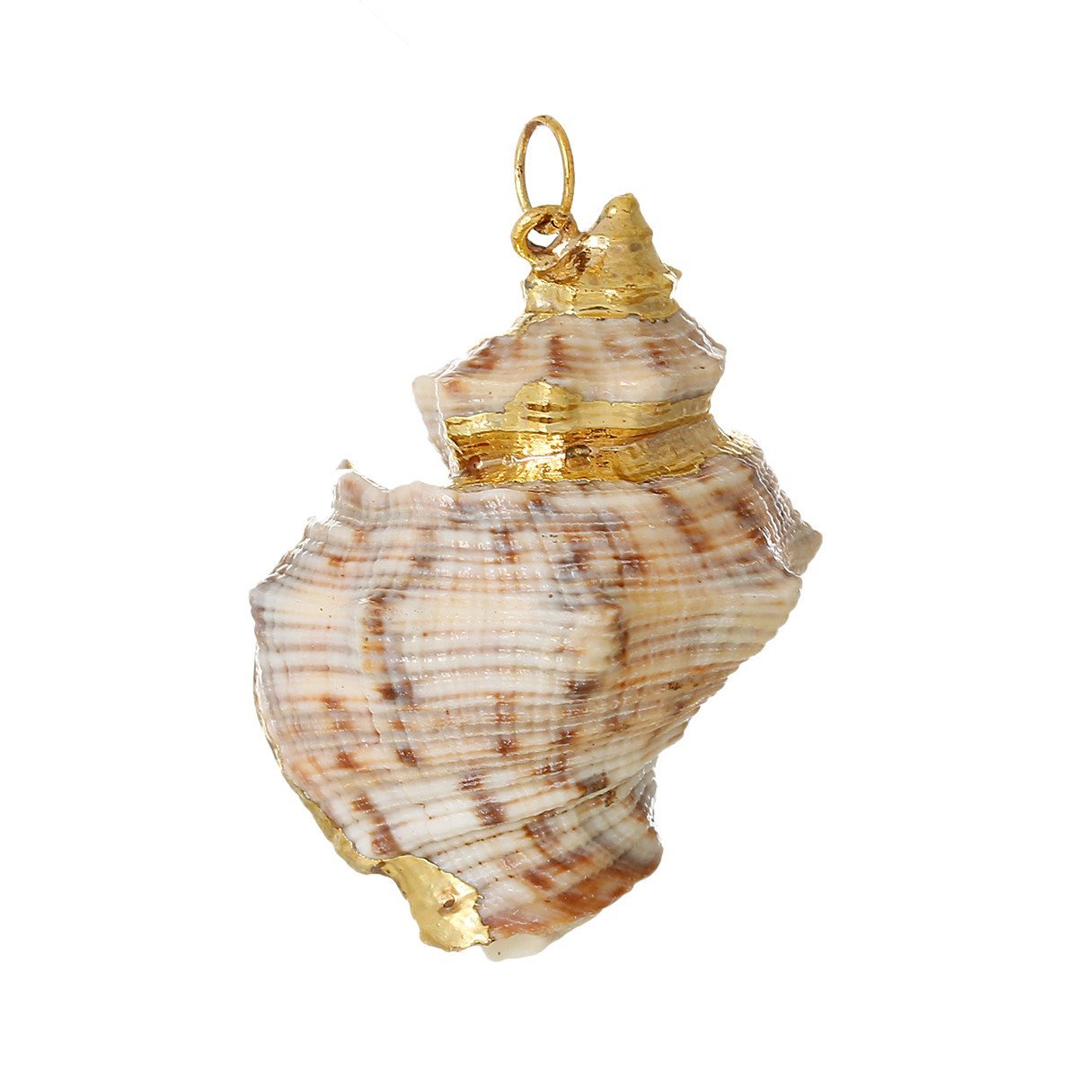 Sexy Sparkles 5 Pcs Natural Shell Shape Conch Sea Snail Charm Pendant 4.1cm x 3.