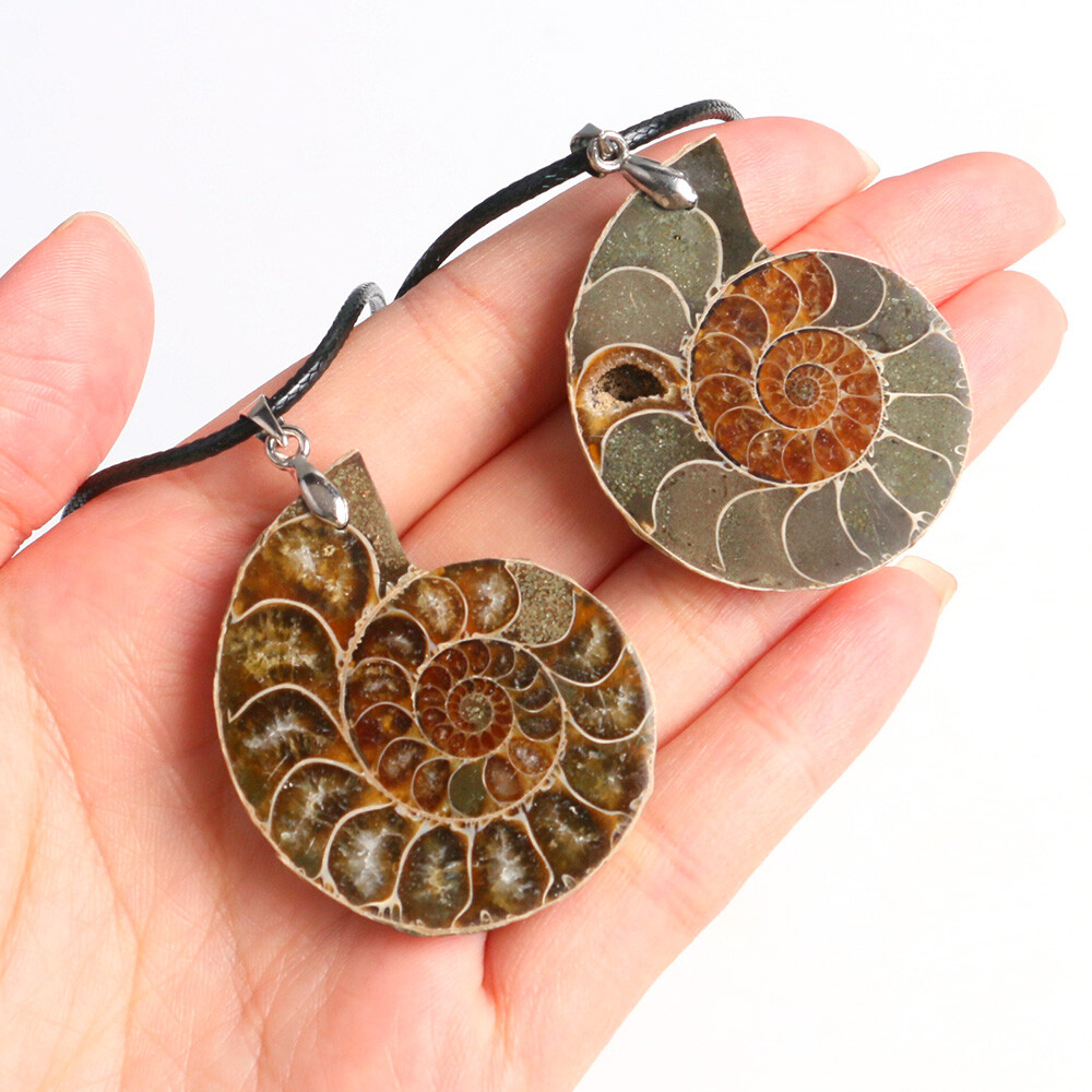 100% Natural Polished Ammonite Fossil Pendant Leather Choker Conch Necklace