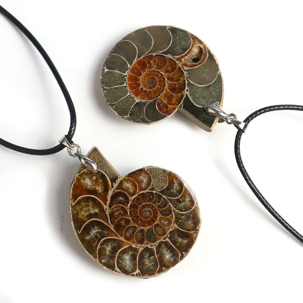 100% Natural Polished Ammonite Fossil Pendant Leather Choker Conch Necklace